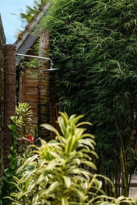 The Padang Villa Jungle Escape 5 Mins Drive From Uluwatu'S Beaches 外观 照片